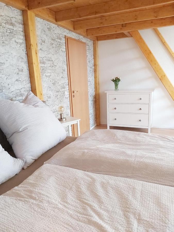 Apartament Tova Cologne Frechen Zewnętrze zdjęcie